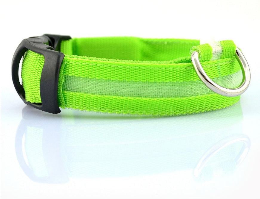 Nylon LED Pet Dog Luminous Collar Night Safety Flashing Glow in Dark Dog Cat Leash Adjustable Pet Supplies - Diphoria