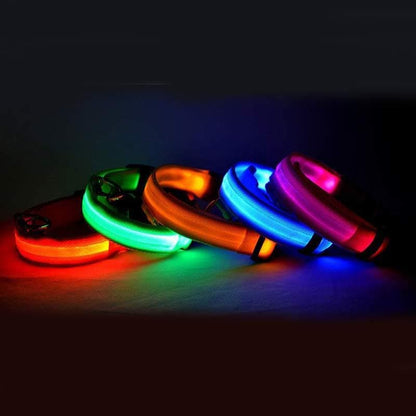 Nylon LED Pet Dog Luminous Collar Night Safety Flashing Glow in Dark Dog Cat Leash Adjustable Pet Supplies - Diphoria